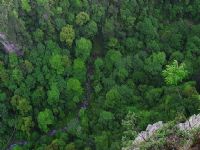 Ԭ�ҽ��L(f��ng)��