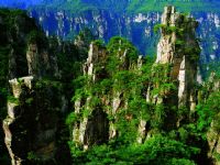 ����ɽ�L(f��ng)��