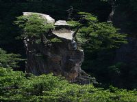 ����ɽ�L(f��ng)��