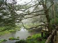 ���Ϫ�L(f��ng)��