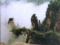 �Sʯկ�L(f��ng)��