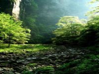 ���Ϫ�L(f��ng)��