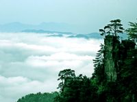 ɭ�ֹ��@�L��