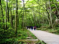 ���Ϫ�L(f��ng)��