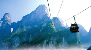 ���Tɽ����ɭ�ֹ��@